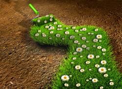 �����ޏͼ��h���|���u�r